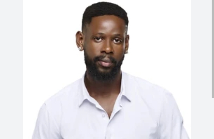 Mensan BBNaija Biography